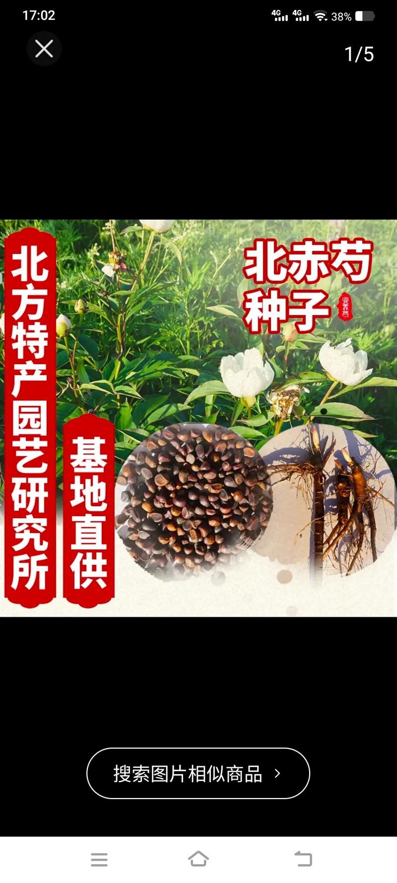 芍药种子的种植方法，芍药种子的种植方法和时间