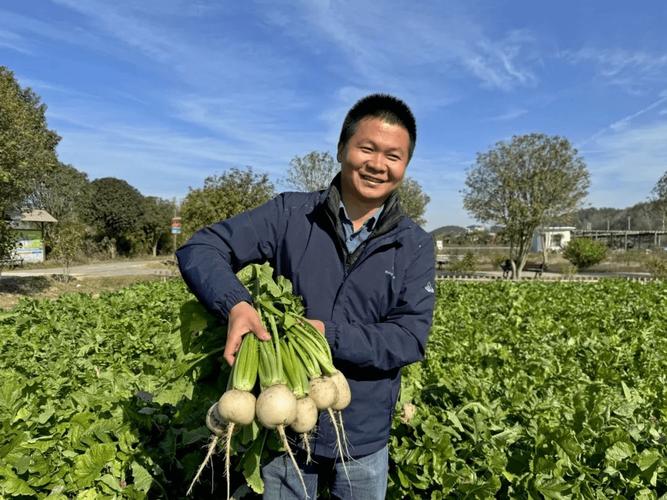 黄陂区常见草木种植价格比较，黄陂区常见草木种植价格比较高的地方