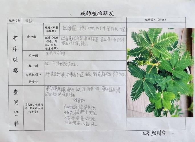 植物种植信息，植物物种信息