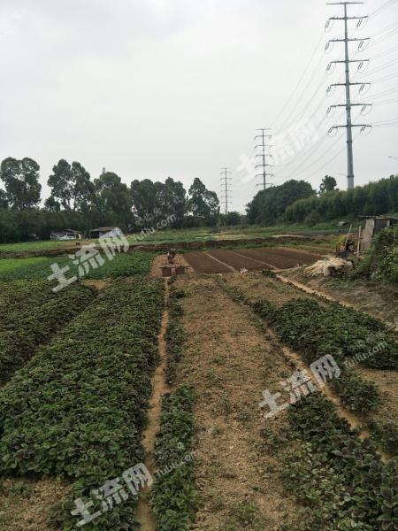 东莞种植土地出租信息-东莞种植土地出租信息最新