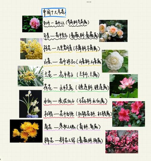 大学花卉学重点知识，大学花卉学重点知识总结