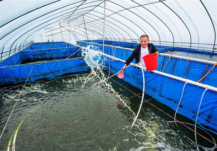 养殖海水虾方法，养殖海水虾方法有哪些