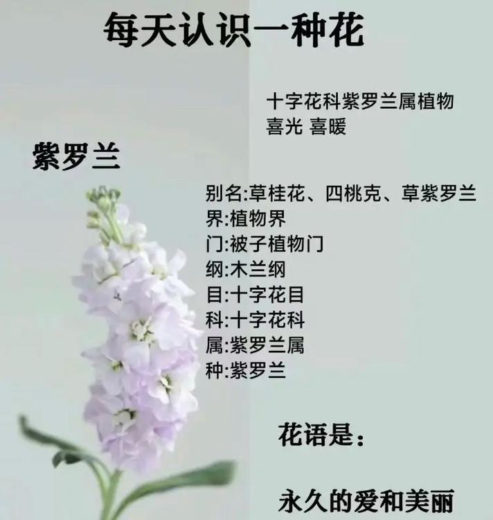 一种花卉知识，一种花卉知识有哪些