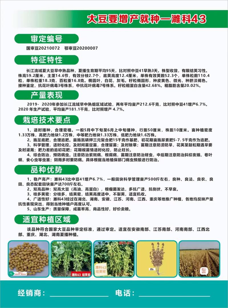 黄豆种植信息，黄豆种植信息查询