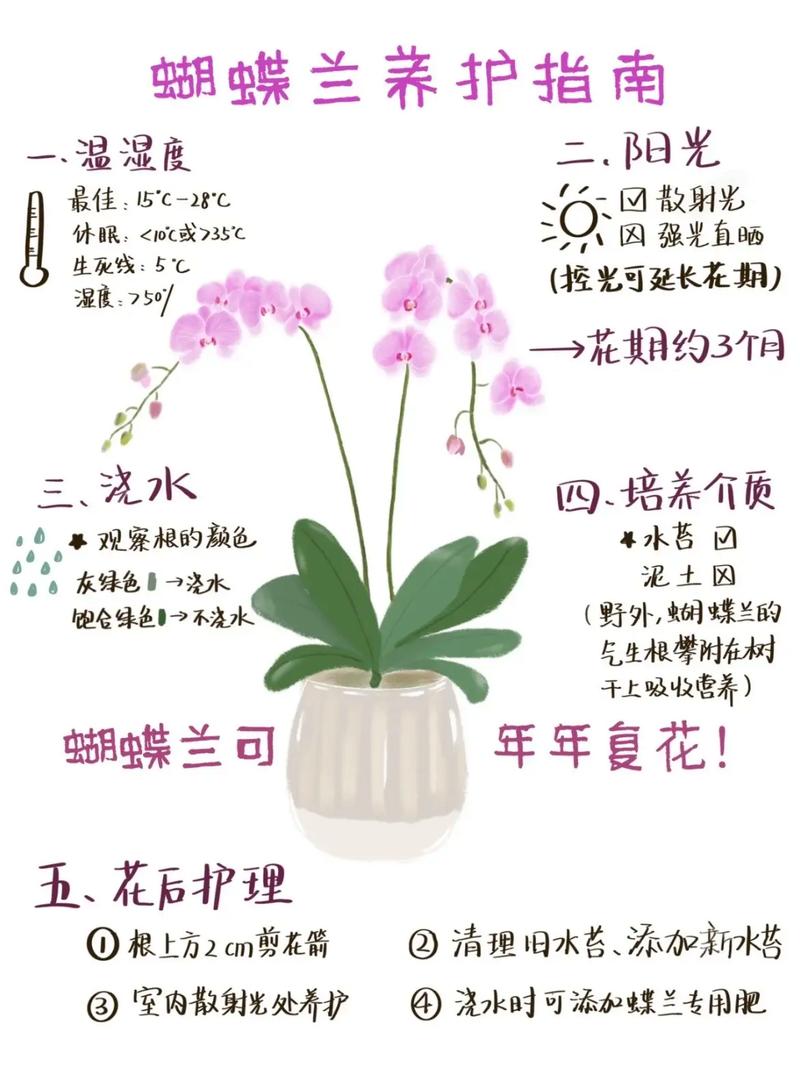 蝴蝶花养殖方法，蝴蝶花养殖方法和注意事项