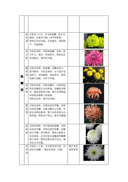 花卉学的专业知识，花卉学的专业知识有哪些