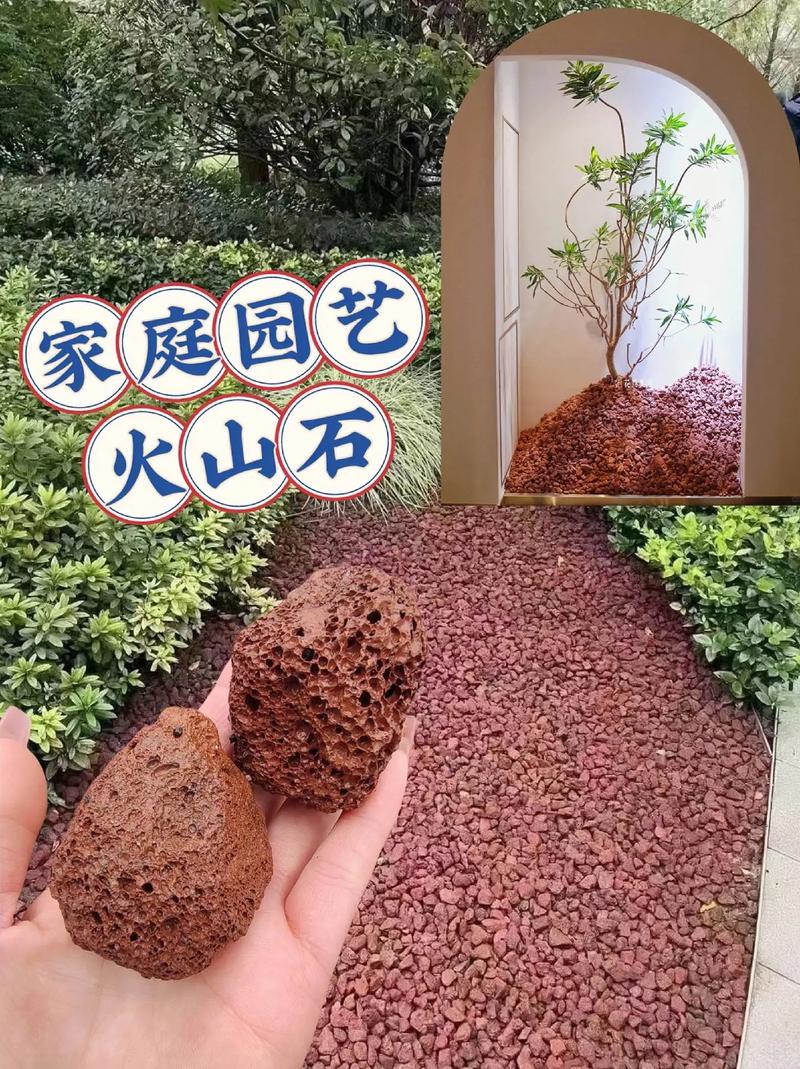 石的种植方法，如何种石