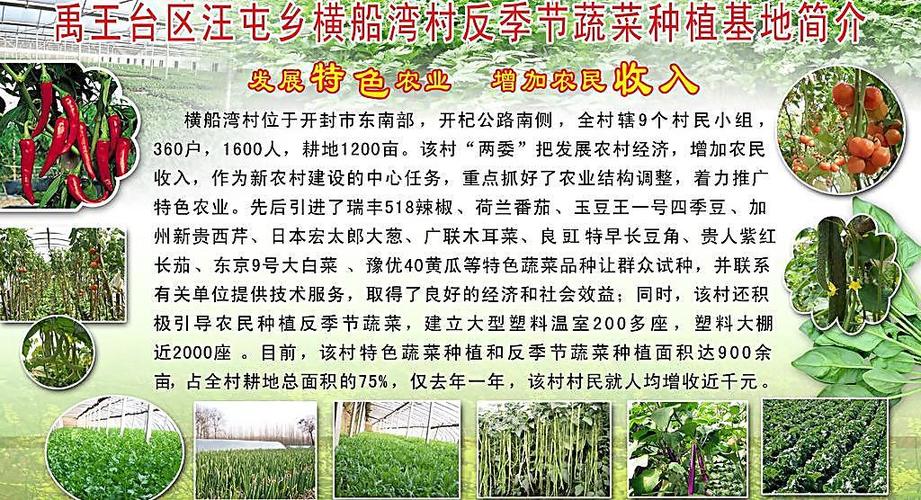 农业种植信息广告，农业种植信息广告语