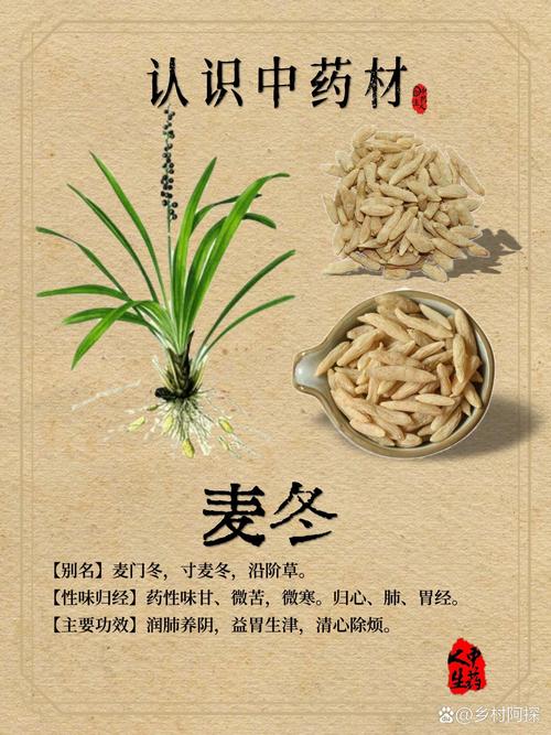 干部种植冬麦信息，干部种植冬麦信息简报